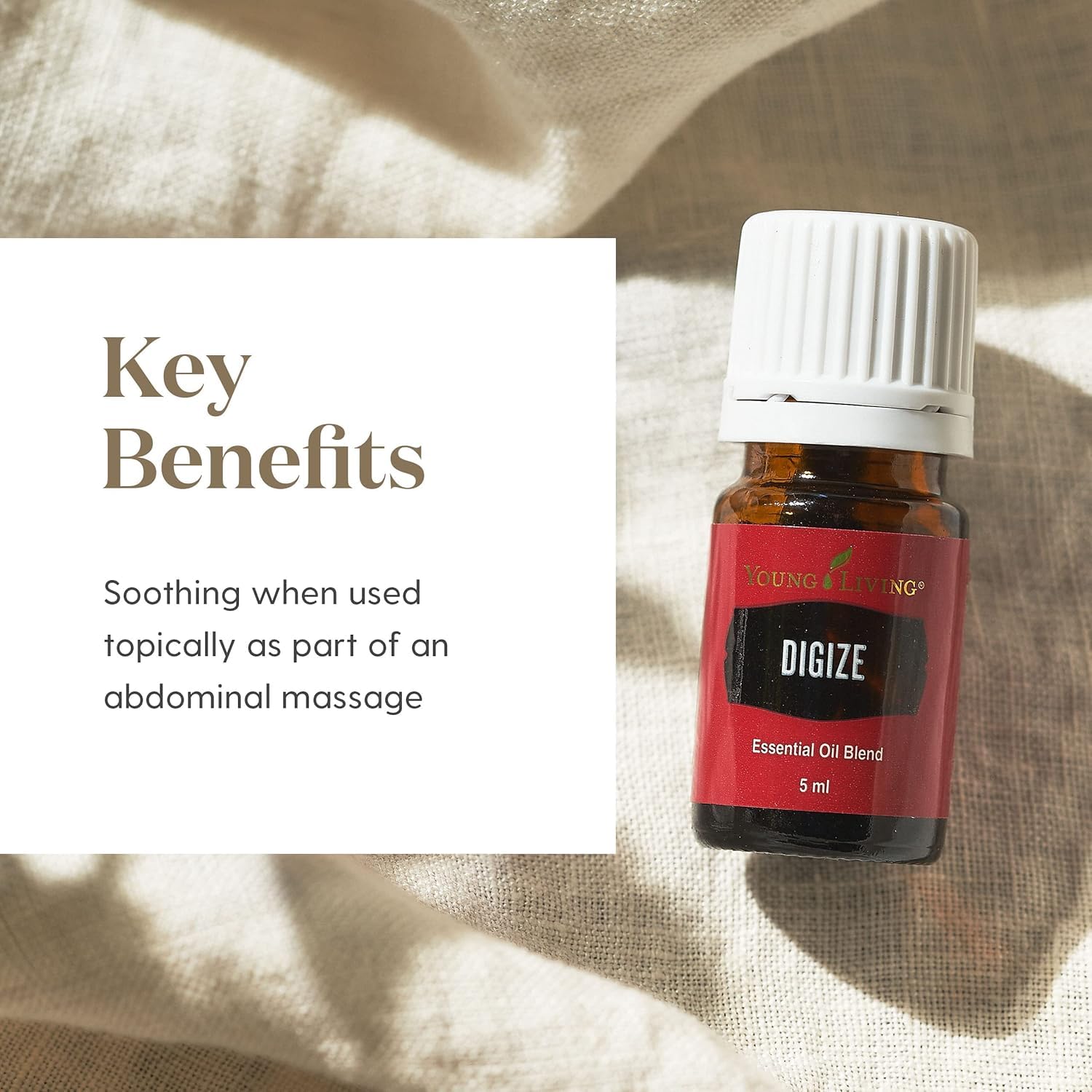 Amazon.com: Young Living DiGize Essential Oil 15ml | Aromatherapy